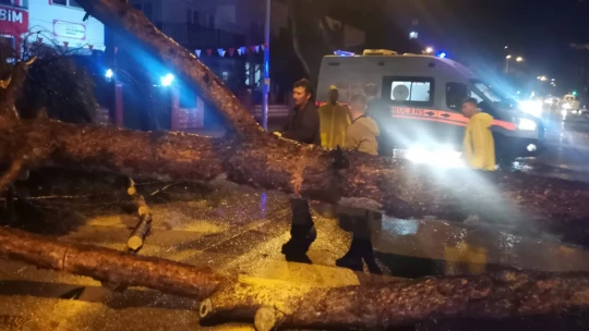 Nazilli'de bilanço belli oldu