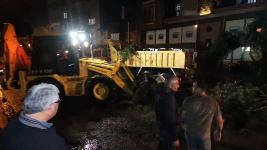Nazilli'de bilanço belli oldu