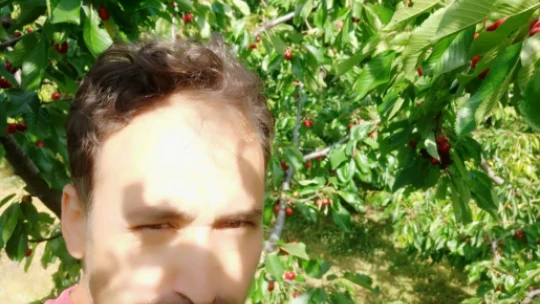 Dünyanın en güçlü böceği Nazilli'de görüldü