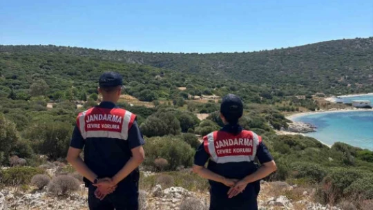 Yaban hayatın son sığınağında jandarmadan denetim