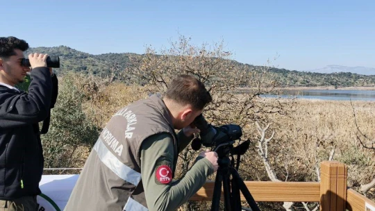 Yaban hayatına kucak açan Aydın'ın sulak alanlarına dikkat çektiler