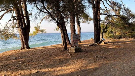 Yaban hayatının son sığınağı için tedbirler alındı