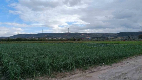 Yağış ve doludan etkilenen tarım arazilerinde kontroller başladı