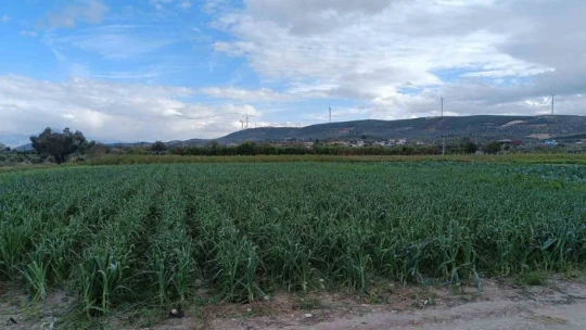 Yağış ve doludan etkilenen tarım arazilerinde kontroller başladı