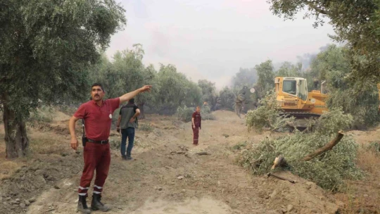 Yangına hava müdahalesi gece de sürecek
