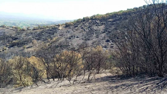 Yangında zarar gören alanlarda inceleme zarar tespiti yapıldı
