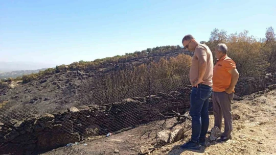 Yangında zarar gören alanlarda inceleme zarar tespiti yapıldı
