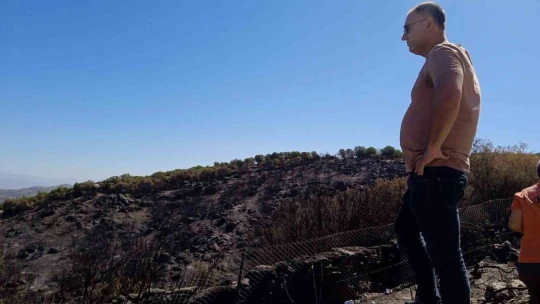 Yangında zarar gören alanlarda inceleme zarar tespiti yapıldı