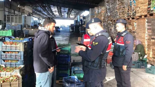 Yankesicilere ve hırsızlara Jandarma önlemi