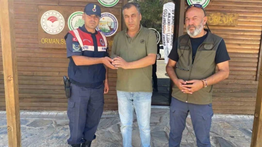 Yaralı halde bulunan baykuş, jandarma ekiplerince kurtarıldı