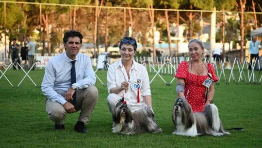 Yarışmaya katılan köpekler dikkat çekti