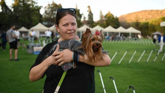 Yarışmaya katılan köpekler dikkat çekti