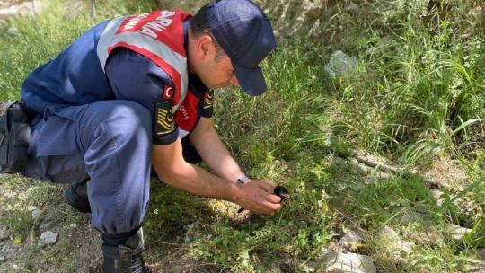 Yavru kargaya jandarma şefkati