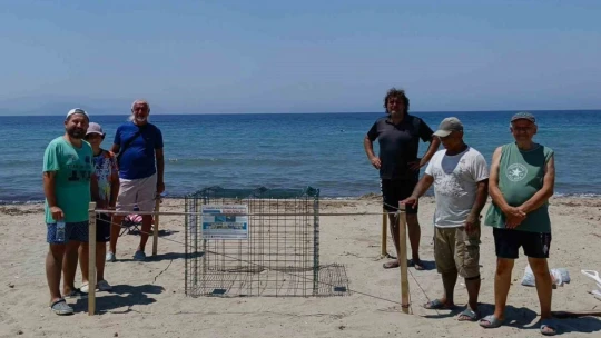 Yavru leyleği kurtarıp, deniz kaplumbağası yumurtalarını koruma altına aldılar