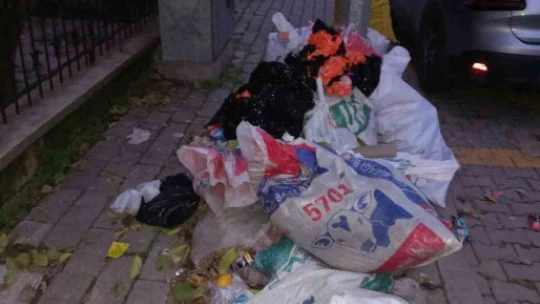 Yedi Eylül Mahallesi'ndeki çöpler temizlendi