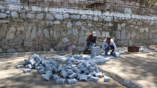 Yenipazar Çamlık Mesire Alanı düzenleniyor