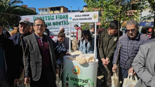 Yenipazar'da 2 bin 500 fidan dağıtıldı