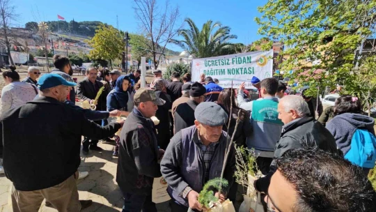 Yenipazar'da 2 bin 500 fidan dağıtıldı