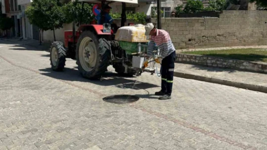 Yenipazar'da haşerelere karşı ortak mücadele