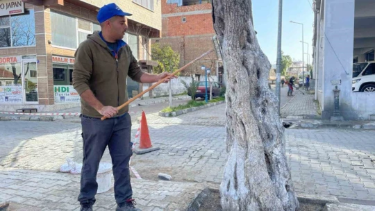 Yenipazar'ın dört bir köşesinde çalışmalar sürüyor