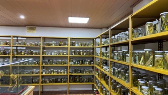 Yılan Müzesi, 185 sürüngen türüyle eğitim ve araştırma merkezine dönüştü