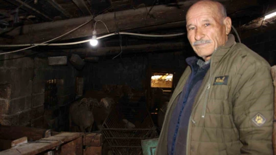 Yıllarca Türkiye'nin her yerini dolaşan kamyon şoförü huzuru koyunlarda buldu