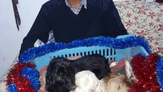 Yok böyle bir sevgi