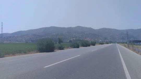 Yol kenarındaki otlar tehlike oluşturuyor