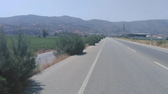 Yol kenarındaki otlar tehlike oluşturuyor