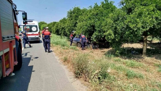 Yoldan çıkan otomobil ağaca çarptı: 1 yaralı