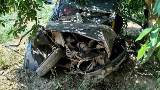 Yoldan çıkan otomobil ağaca çarptı: 1 yaralı