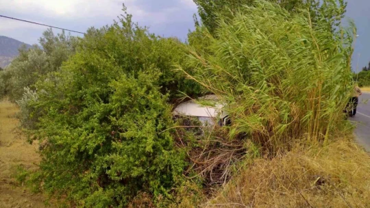 Yoldan çıkan ticari araç ağaca çarptı: 2 yaralı