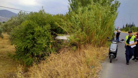 Yoldan çıkan ticari araç ağaca çarptı: 2 yaralı