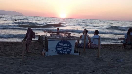 Yumurtalarından çıkan 260 yavru caretta özgürlüğe kulaç attılar