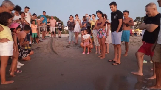 Yumurtalarından çıkan 260 yavru caretta özgürlüğe kulaç attılar