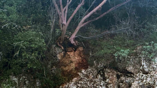 Zeus Mağarası geçici olarak ziyarete kapatıldı