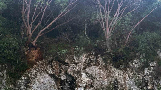 Zeus Mağarası geçici olarak ziyarete kapatıldı