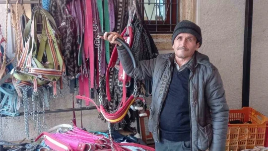 Zeytinde 'yok yılı' urgancıları zora soktu