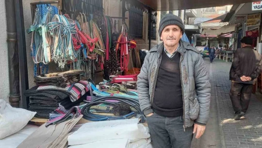 Zeytinde 'yok yılı' urgancıları zora soktu