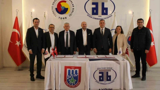 Zeytinyağı tadım operatörleri Aydın'da yetişecek