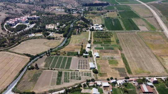 Ziraat Fakültesi'nden 'Salep' atağı