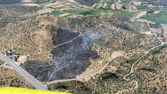 Zirai alan yangını büyümeden kontrol altına alındı