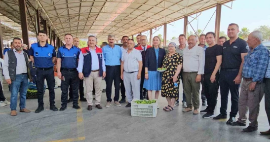 Nazilli'de kaliteli incir için kaliteli ilek denetimleri sürüyor