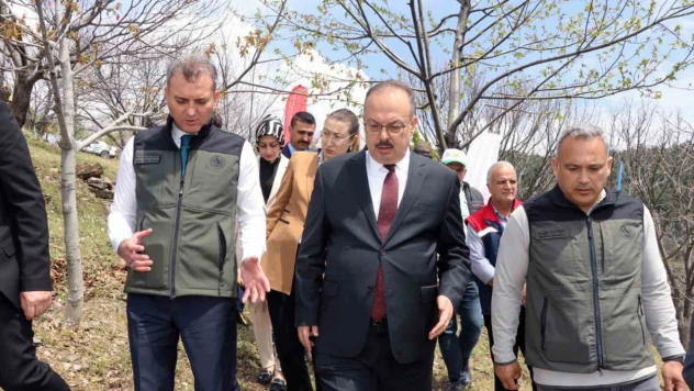 Aydın'da Kestane zararlısına karşı biyolojik mücadele