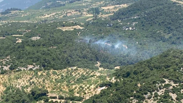 Aydın'daki orman yangını kontrol altına alındı