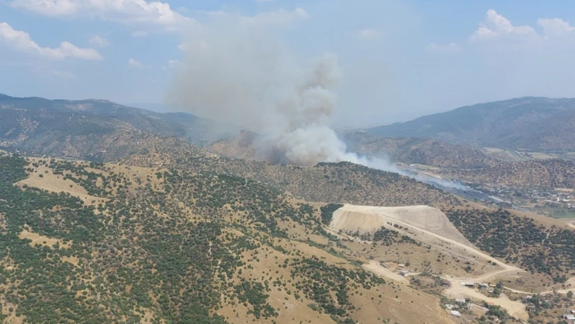 Aydın'da zirai alandaki yangın büyüyor