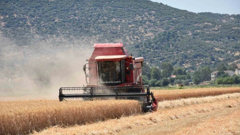 Çiftçilerden hayvan üreticilerine kritik uyarı: 'Elinizi Çabuk Tutun'