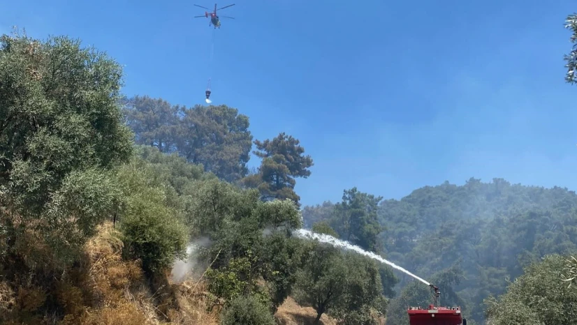 Germencik'teki orman yangını kontrol altına alındı