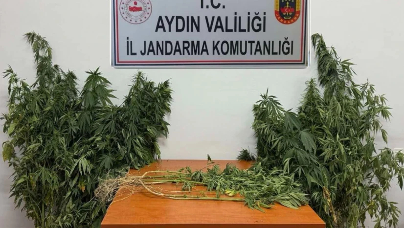 Nazilli'de uyuşturucu operasyonu