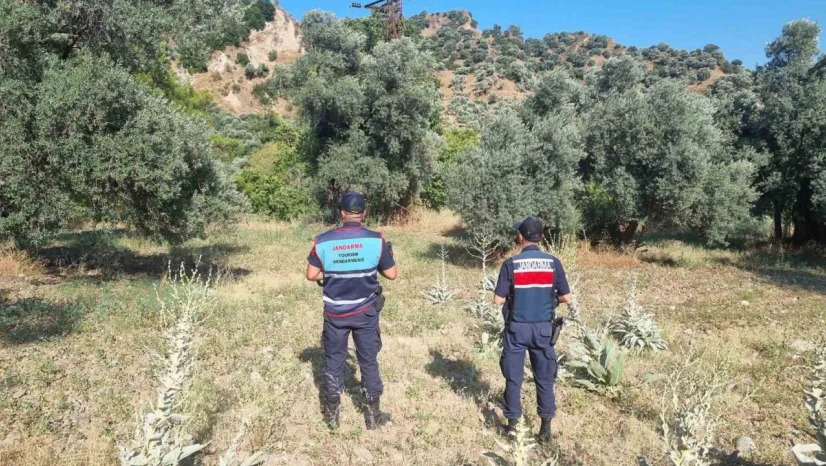 Ormanlık alanda mangal yakan 2 kişi yakalandı